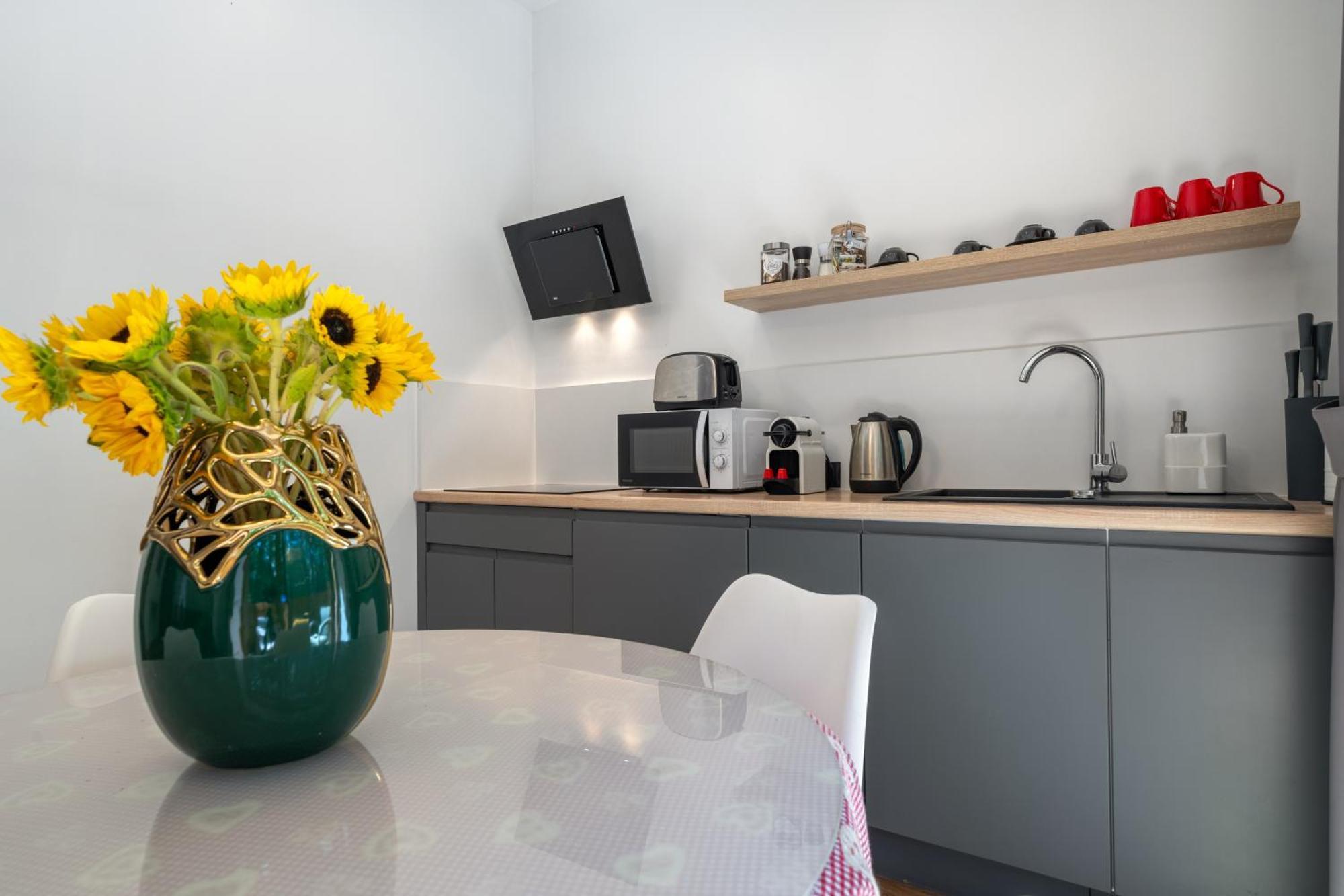 Willa Jarosta & Spa, Ac -Free Parking 扎科帕内 外观 照片