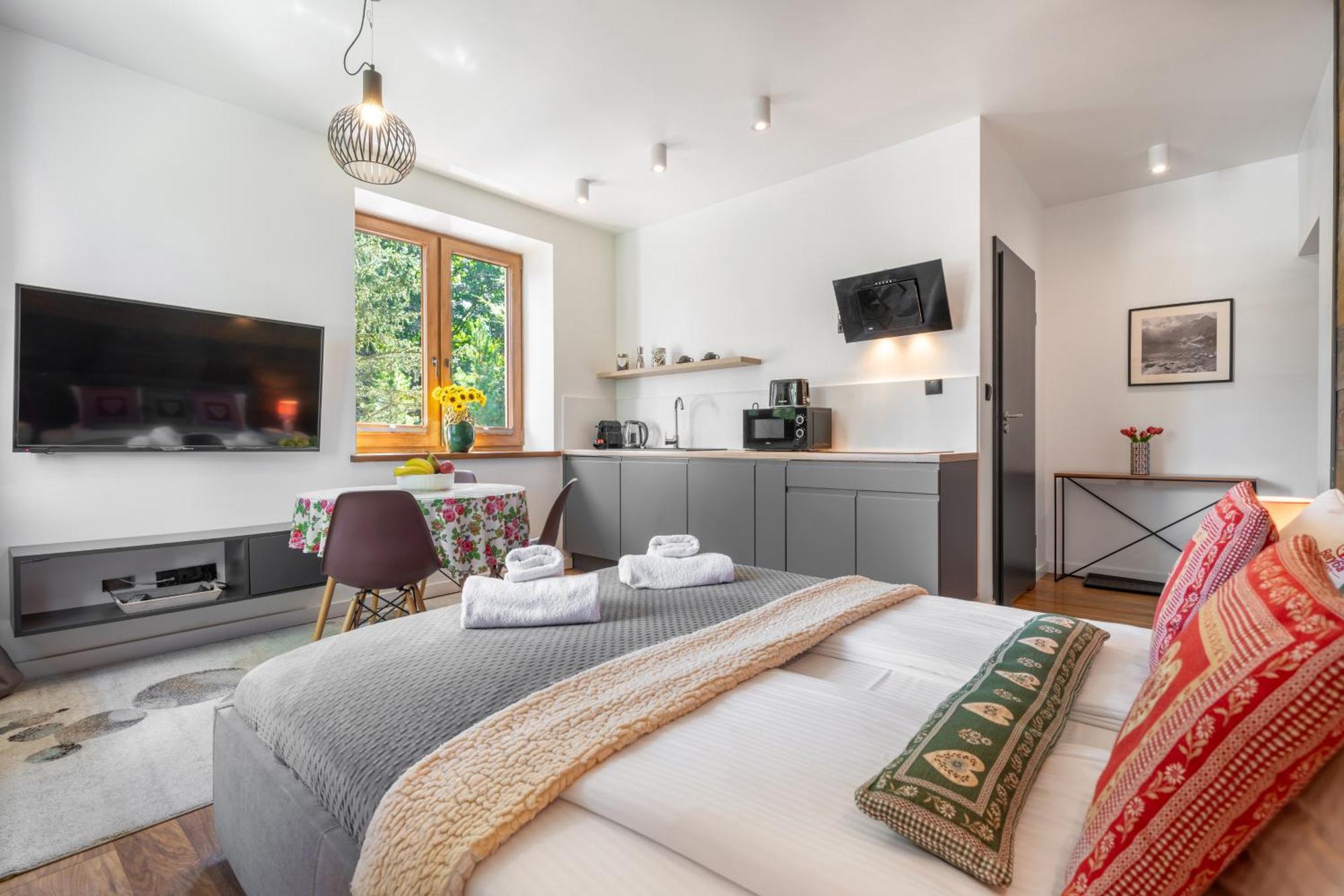 Willa Jarosta & Spa, Ac -Free Parking 扎科帕内 外观 照片